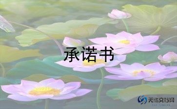 材料真实性承诺书模板7篇