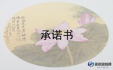 乡安全施工生产承诺书6篇