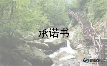 个人施工安全承诺书简洁5篇