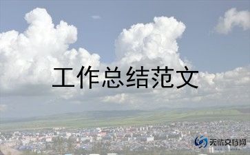市领导工作总结6篇