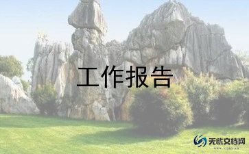 小学生上网调查报告6篇