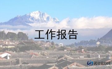 审计局工作报告6篇