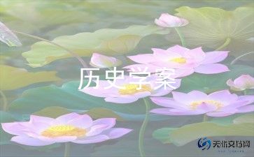 历史教师个人工作教学总结8篇