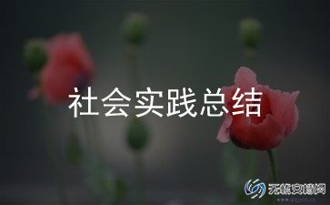 社会实践表自我总结推荐5篇