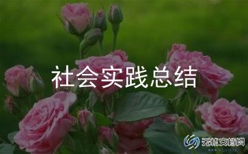 小学生社会实践活动总结怎么写模板10篇