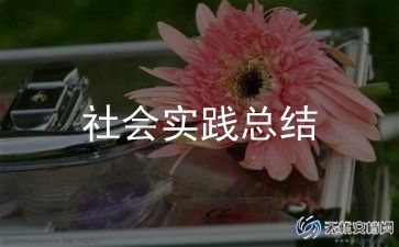 大学生社区社会实践报告1500字7篇