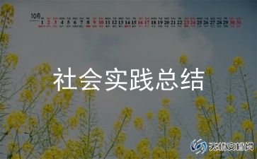 实践社会个人总结报告最新8篇