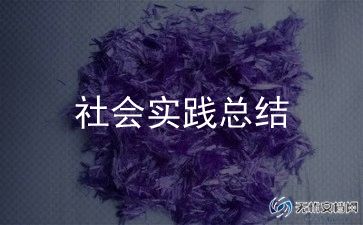 社会小调研报告6篇