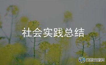 小学综合实践总结5篇