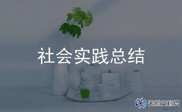 学生社会实践活动总结怎么写模板14篇