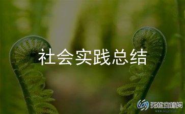 大学生社区社会实践报告2000字5篇