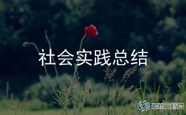 志愿活动总结报告范文最新6篇