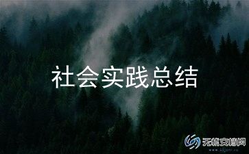 志愿活动总结报告范文7篇