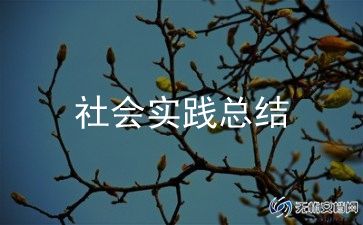大学生社区社会实践报告6篇