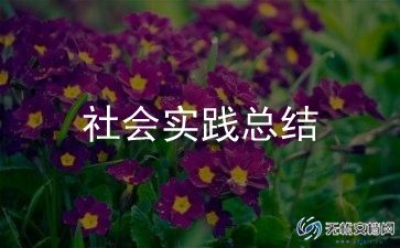 志愿社会实践心得体会800字8篇