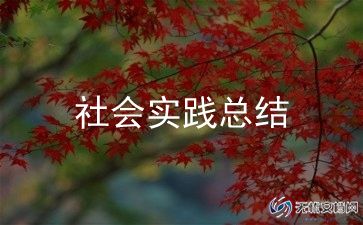 小学教师年度考核总结范文5篇