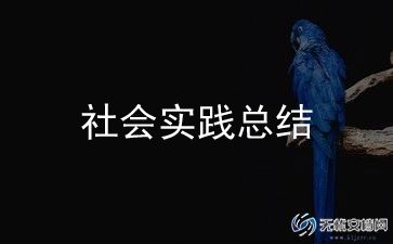 三下乡社会实践活动总结报告13篇