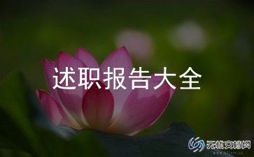 村干部宣传委员个人述职报告范文5篇