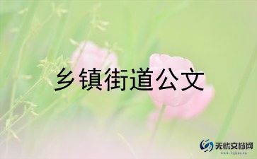 乡镇团委工作总结个人总结6篇