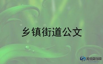 2023年乡镇工作人员工作总结5篇