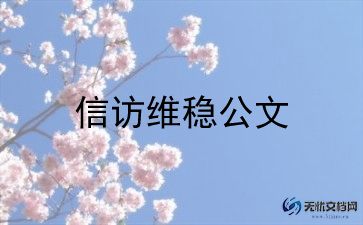 2023年个人信访工作总结7篇