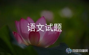语文老师教学反思6篇