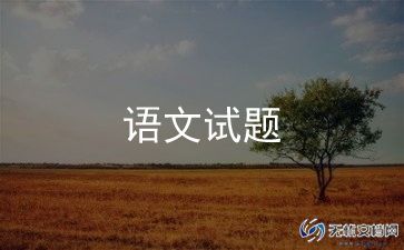 初二年级语文老师工作总结6篇