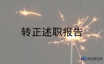 转正申请书表范文精选6篇