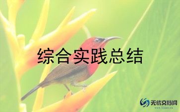 暑期社会实践活动方案5篇
