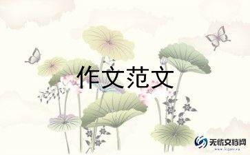 2023年英语二作文模板最新8篇