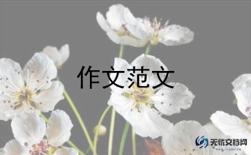 作文演讲稿600字8篇