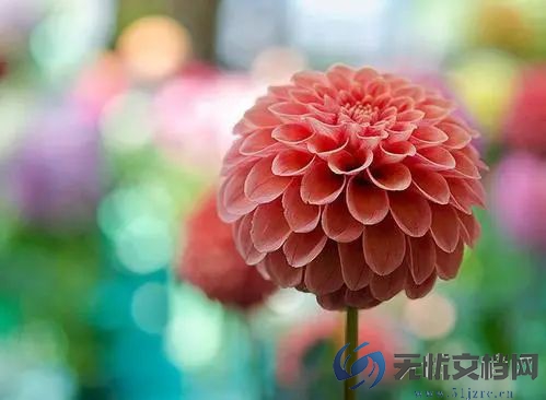 广东昨日本土新增确诊30例